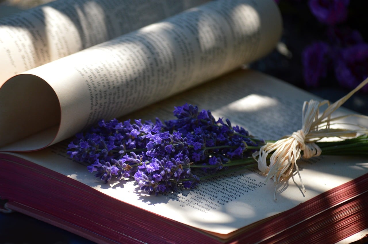 Cover Design on a Budget: What Actually Sells an Indie Book