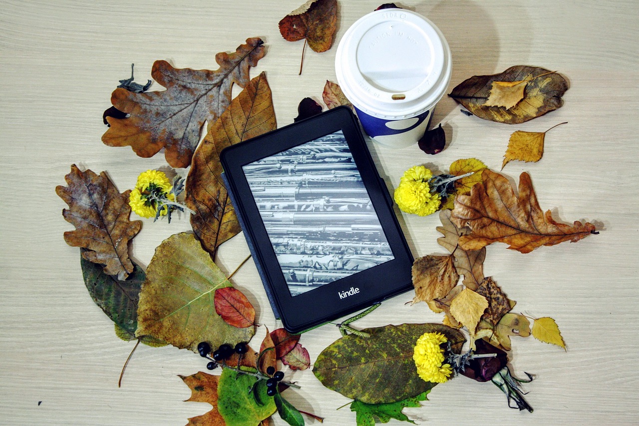 Formatting Your First Ebook: A No-Nonsense Guide to Files, Fonts, and Front Matter